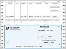 Continuous Payroll Check Bottom  Thumbnail